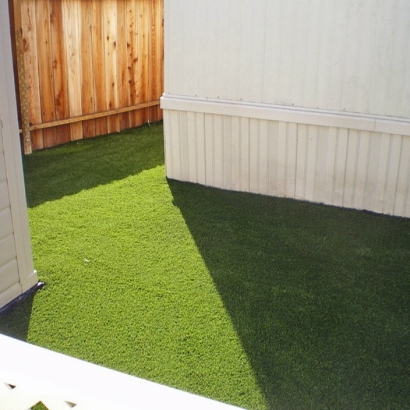 Artificial Grass Carpet La Habra Heights, California Dog Pound, Backyard Designs