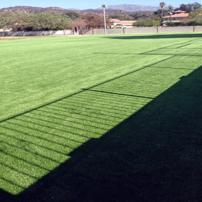 Artificial Grass in Lake Hughes, California