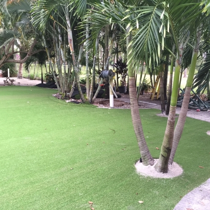 Artificial Turf Cost Good Hope, California Backyard Playground, Commercial Landscape