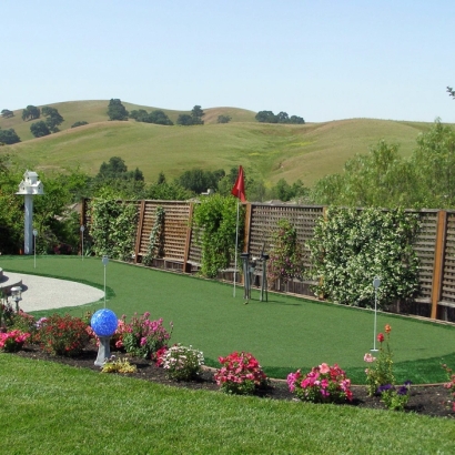 Fake Turf Villa Park, California Landscape Ideas, Backyard Ideas