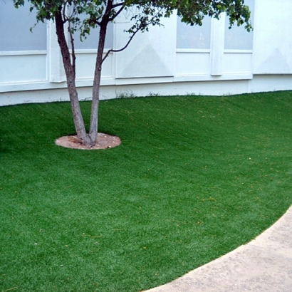 At Home Putting Greens & Synthetic Grass in Avalon, California