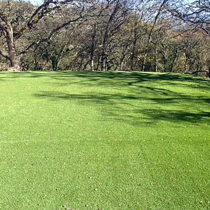 Arcadia, California Grass Artificial