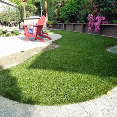 Synthetic Turf Glen Avon, California Landscape Design, Backyard Garden Ideas