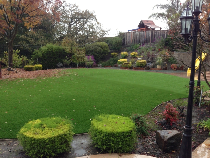 Artificial Turf Romoland, California Landscape Design, Backyard Landscape Ideas