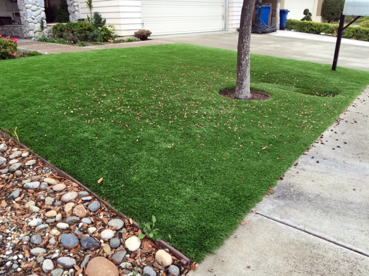 Fake Grass Lakewood, California Lawn And Landscape, Front Yard