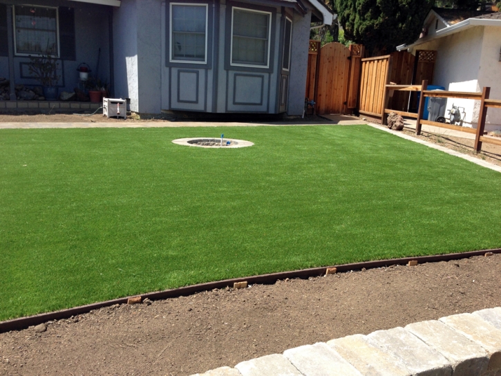 Faux Grass Avalon, California Backyard Deck Ideas, Front Yard Landscaping Ideas