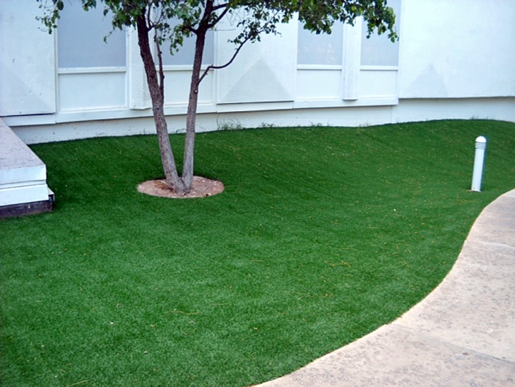 Grass Installation Avalon, California Landscaping, Commercial Landscape